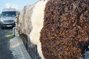 Peaux de mouton - Peaux suédoises - swedish-sheepskins1