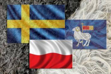 Peaux de mouton - Peau de mouton écologique Visby Gotland ! Offrez-vous une peau de mouton Gotland luxueuse et élégante !