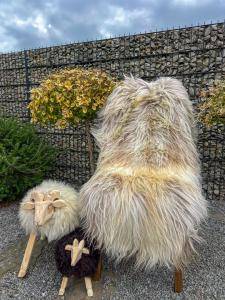 Peaux de mouton - Fraîcheur printanière avec des peaux de mouton naturelles