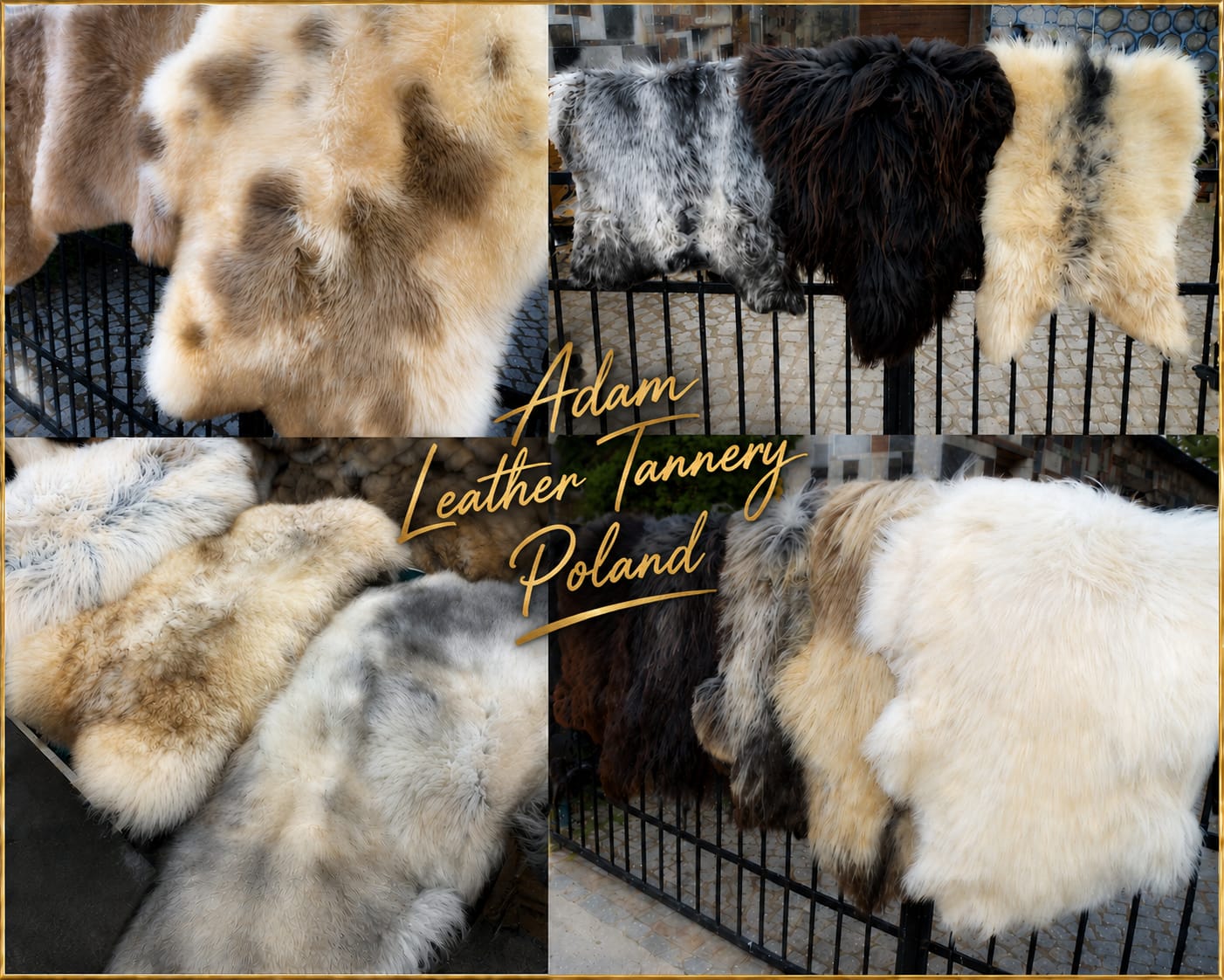 Peaux de mouton - Une collection de peaux de mouton naturelles ! Elles attirent le regard par leur aspect unique.